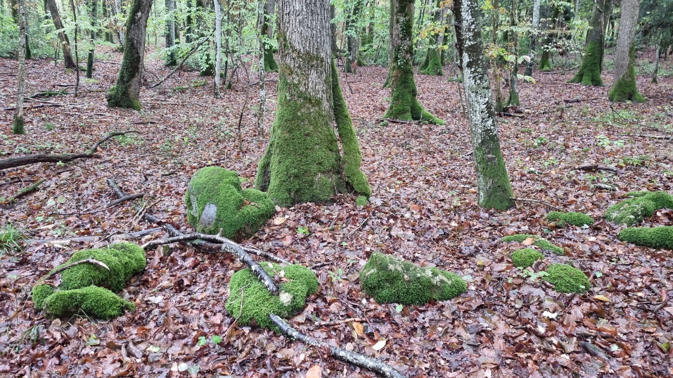 20220925_100416-scaled.jpg