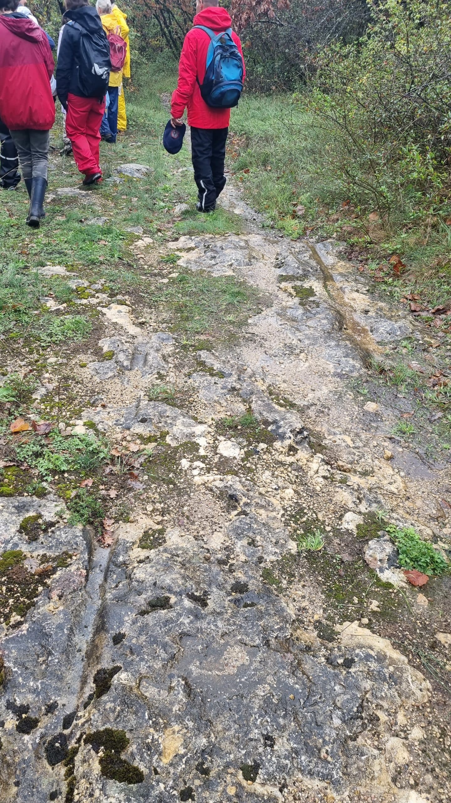 20220925_111951-scaled.jpg