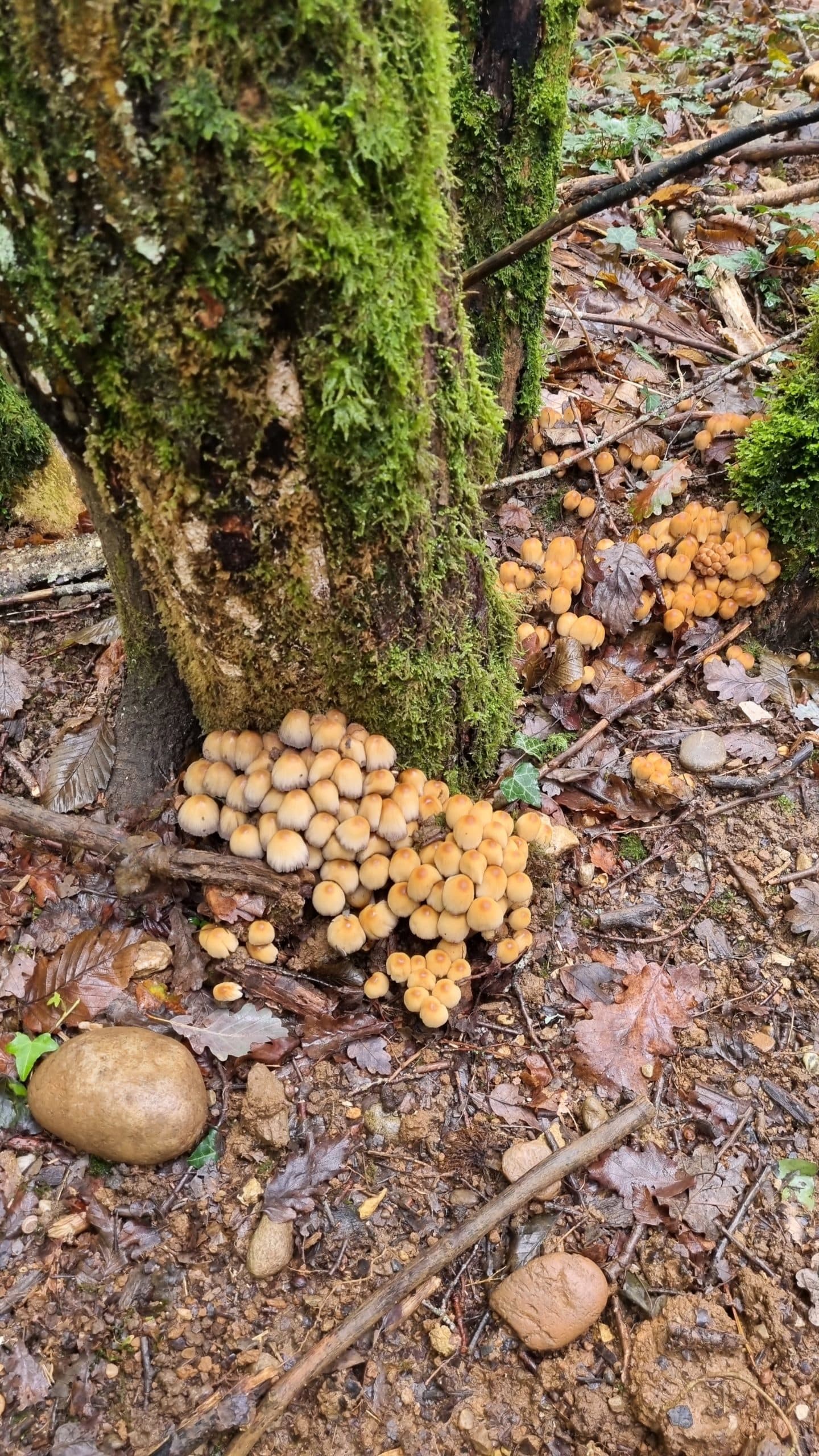 20220925_123434-scaled.jpg