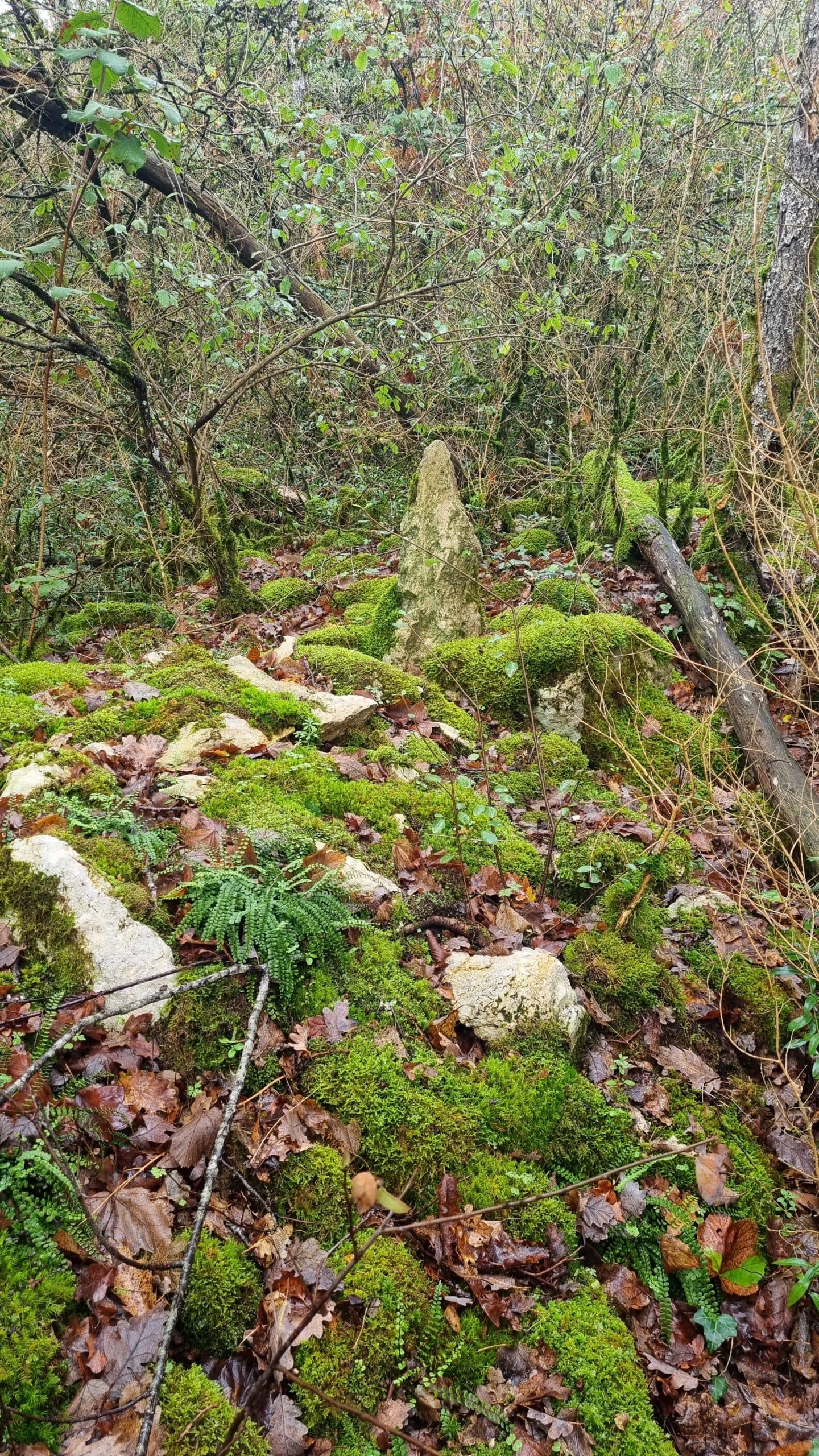 20220925_120527-scaled.jpg