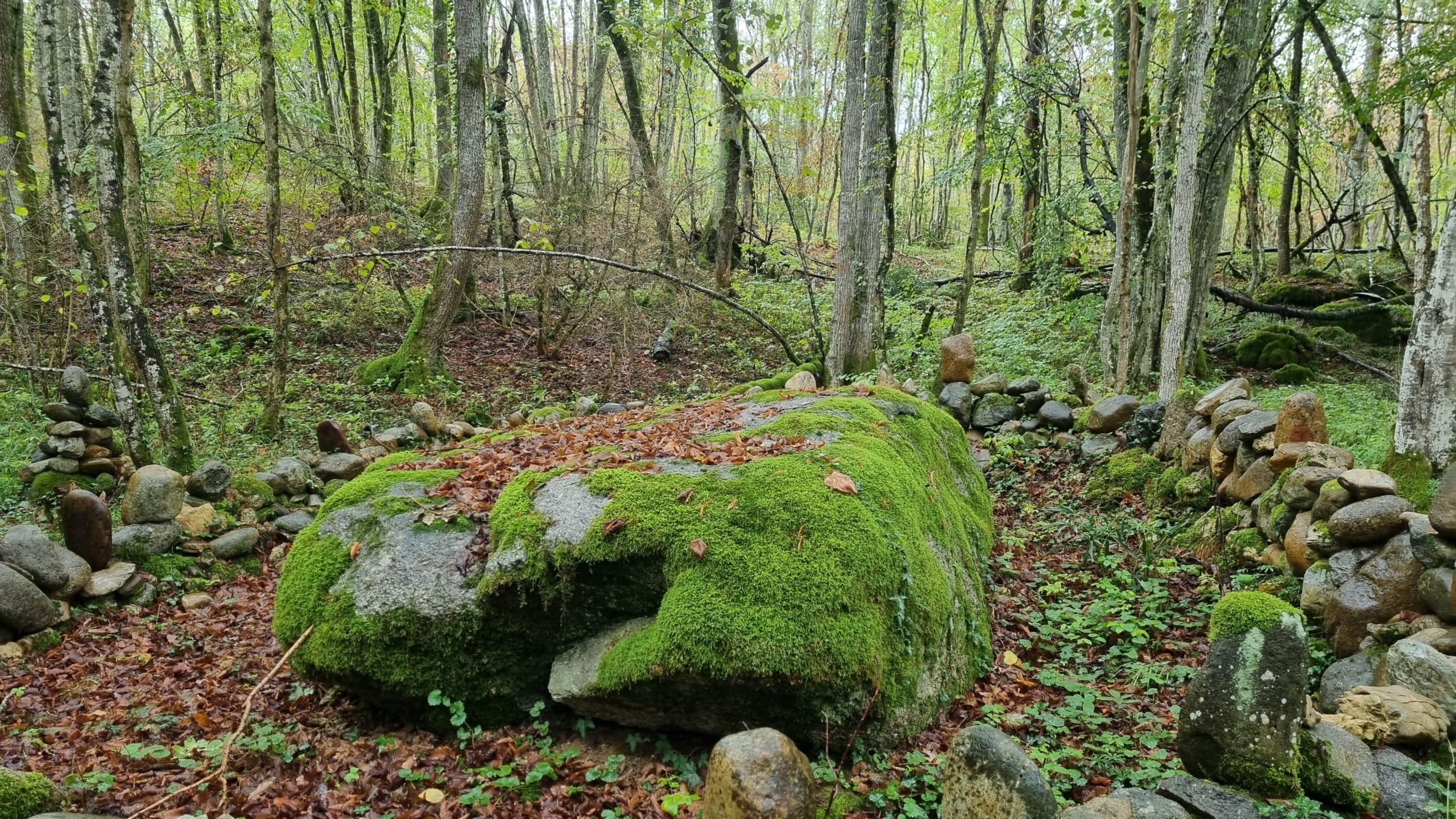 20220925_103554-scaled.jpg