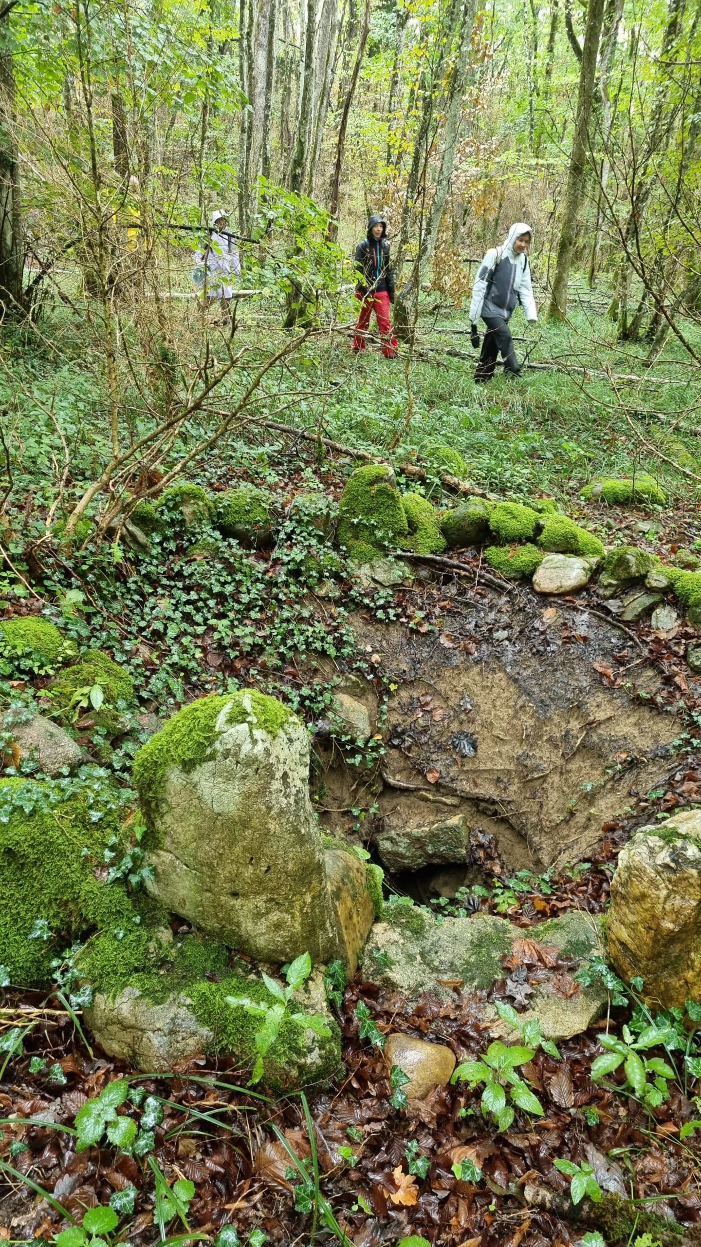 20220925_103246-scaled.jpg