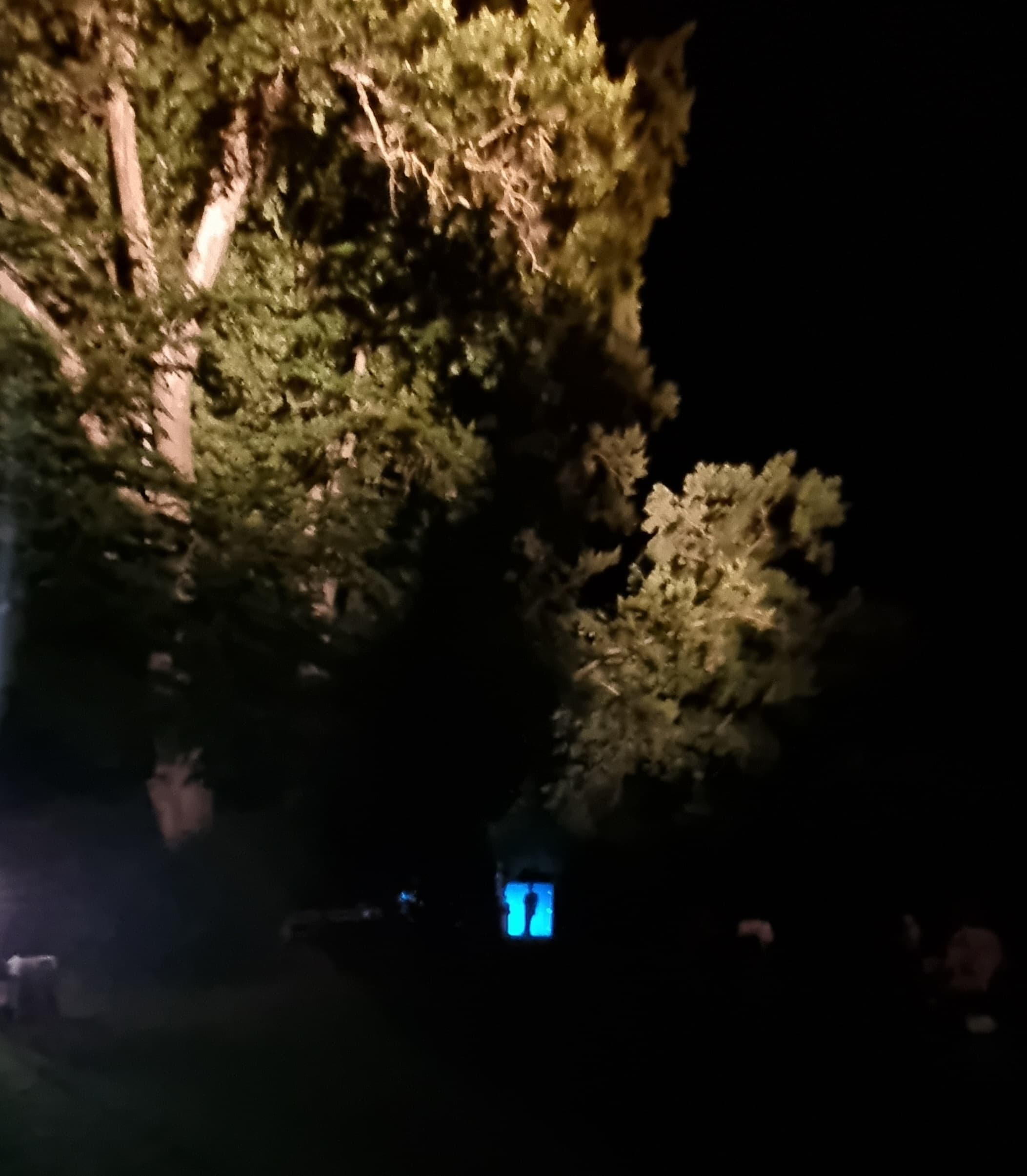 20220801_232654.jpg