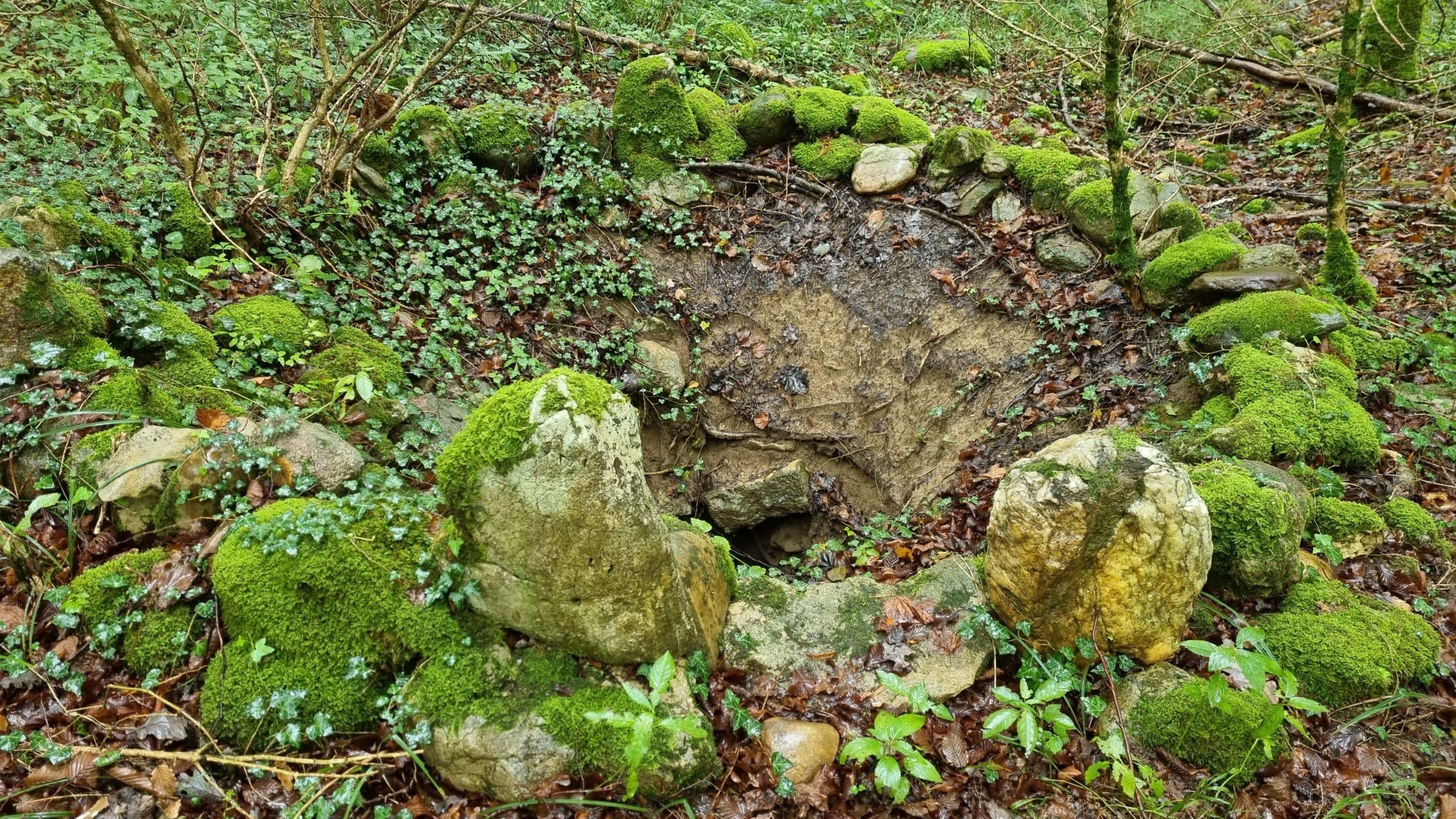 20220925_103243-scaled.jpg