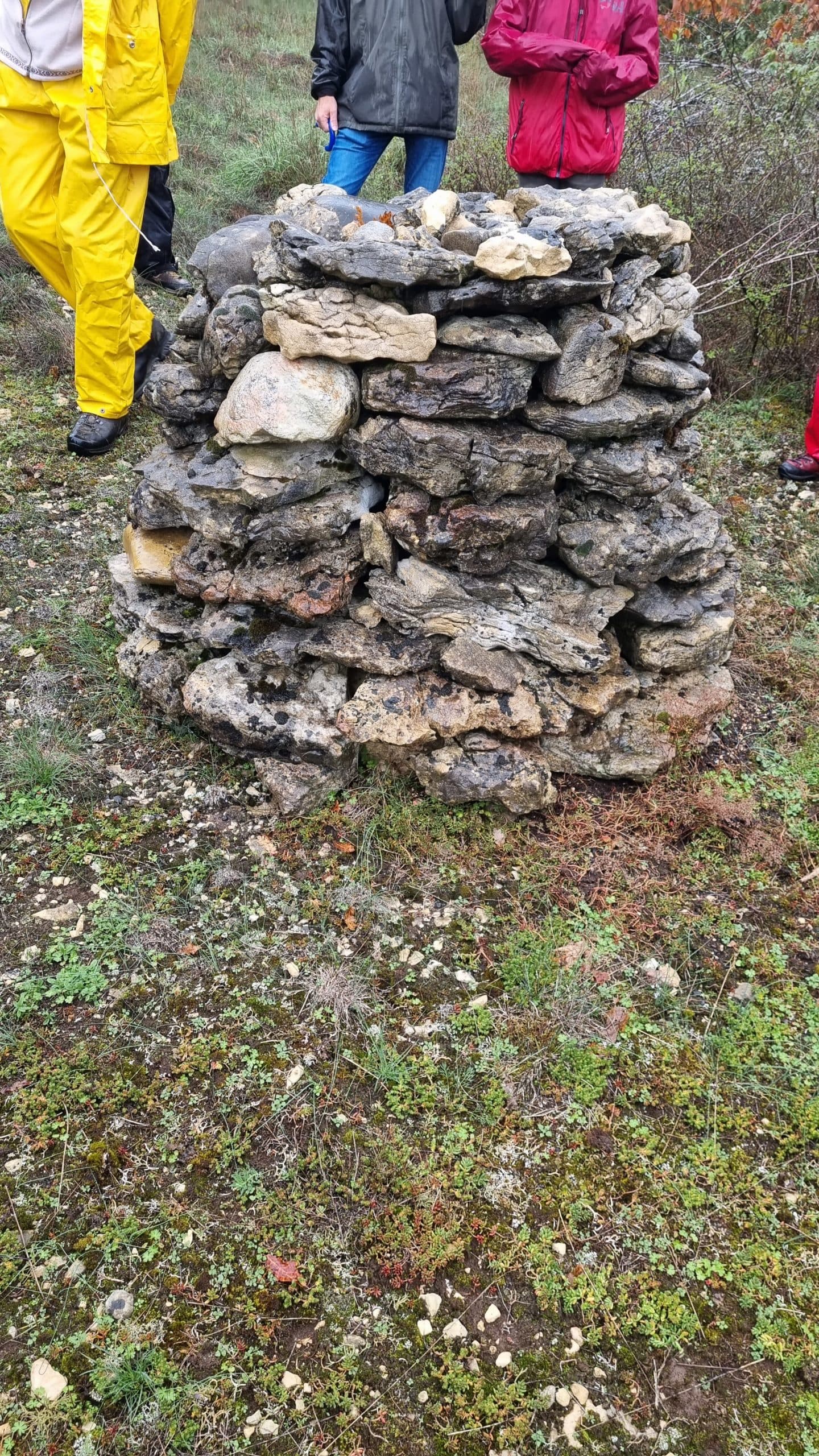 20220925_102007-scaled.jpg