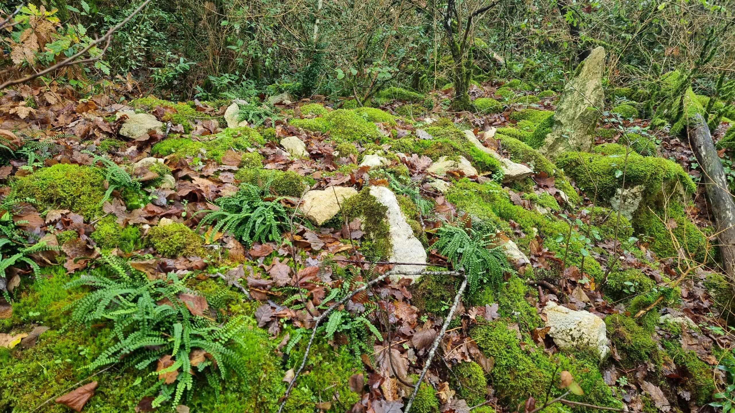 20220925_120532-scaled.jpg