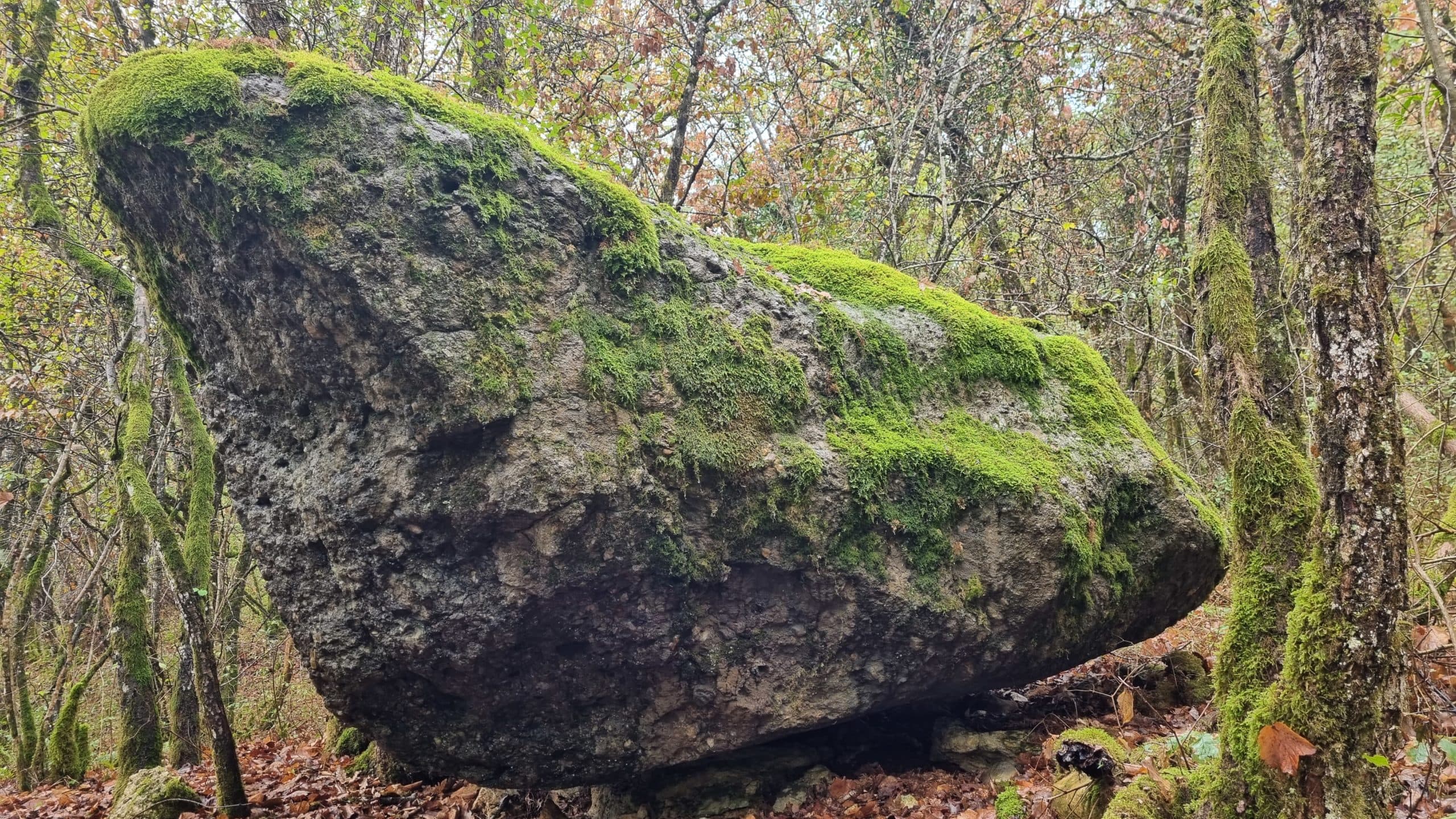 20220925_115136-scaled.jpg