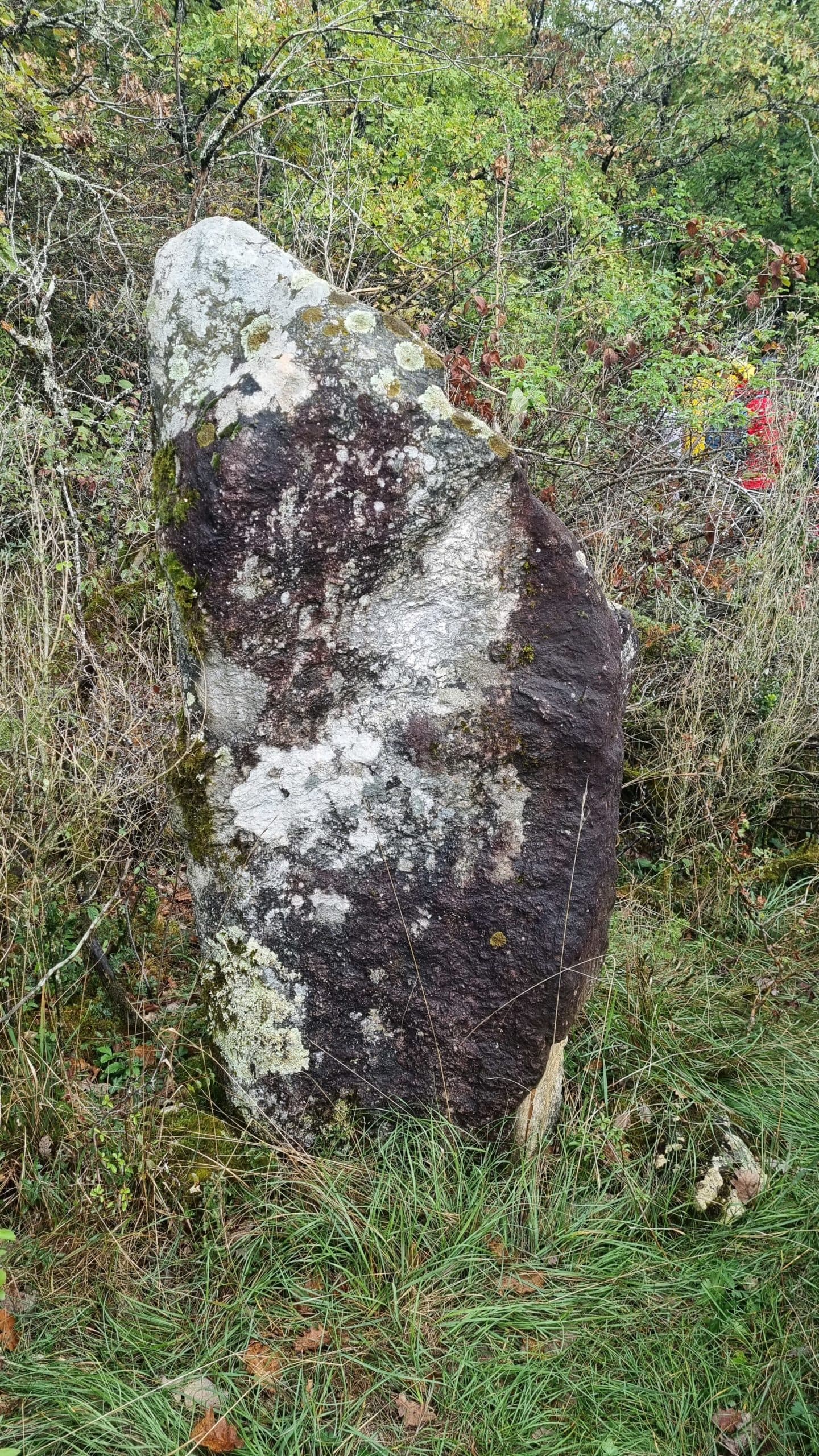 20220925_122805-scaled.jpg