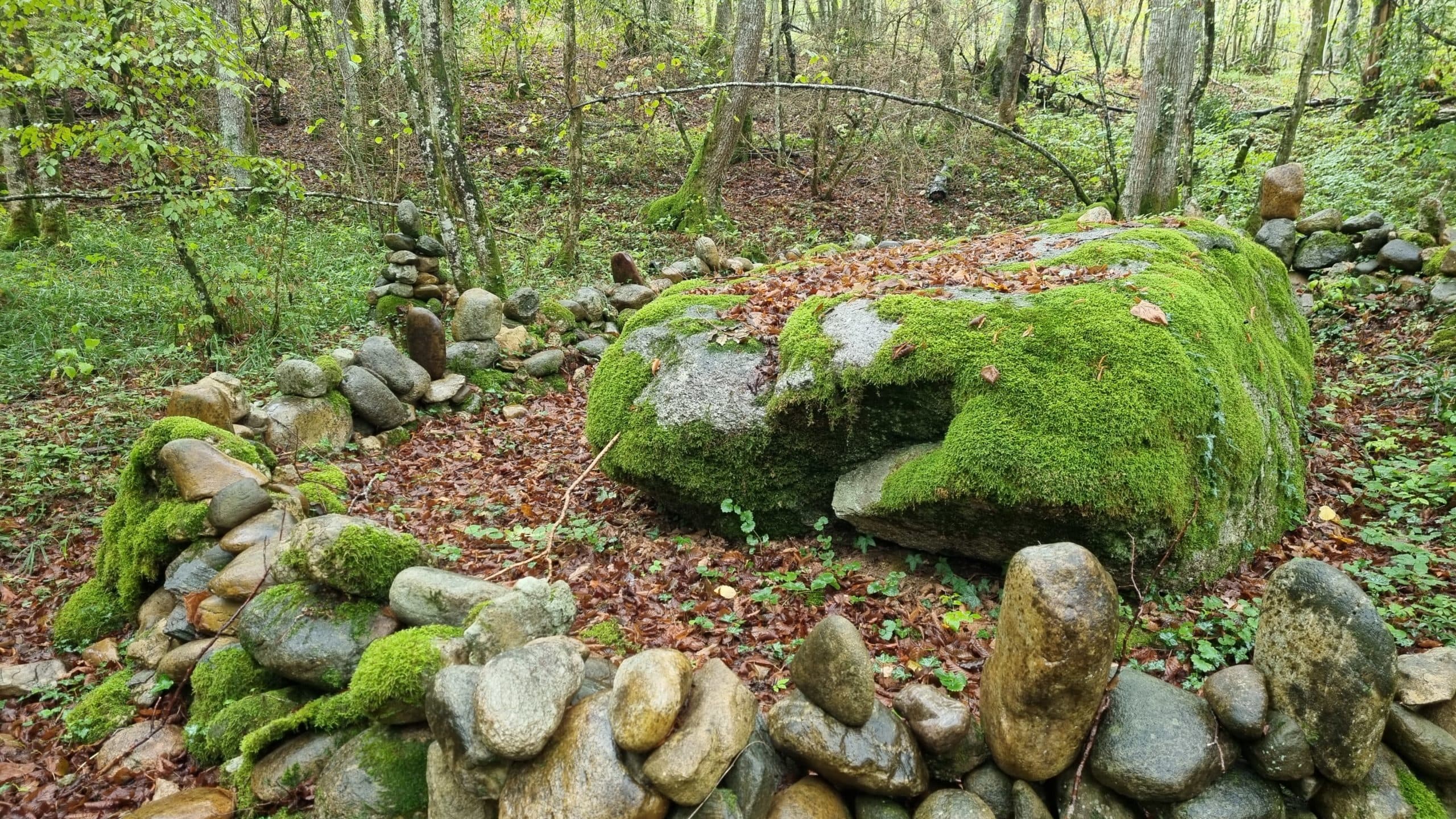 20220925_103558-scaled.jpg