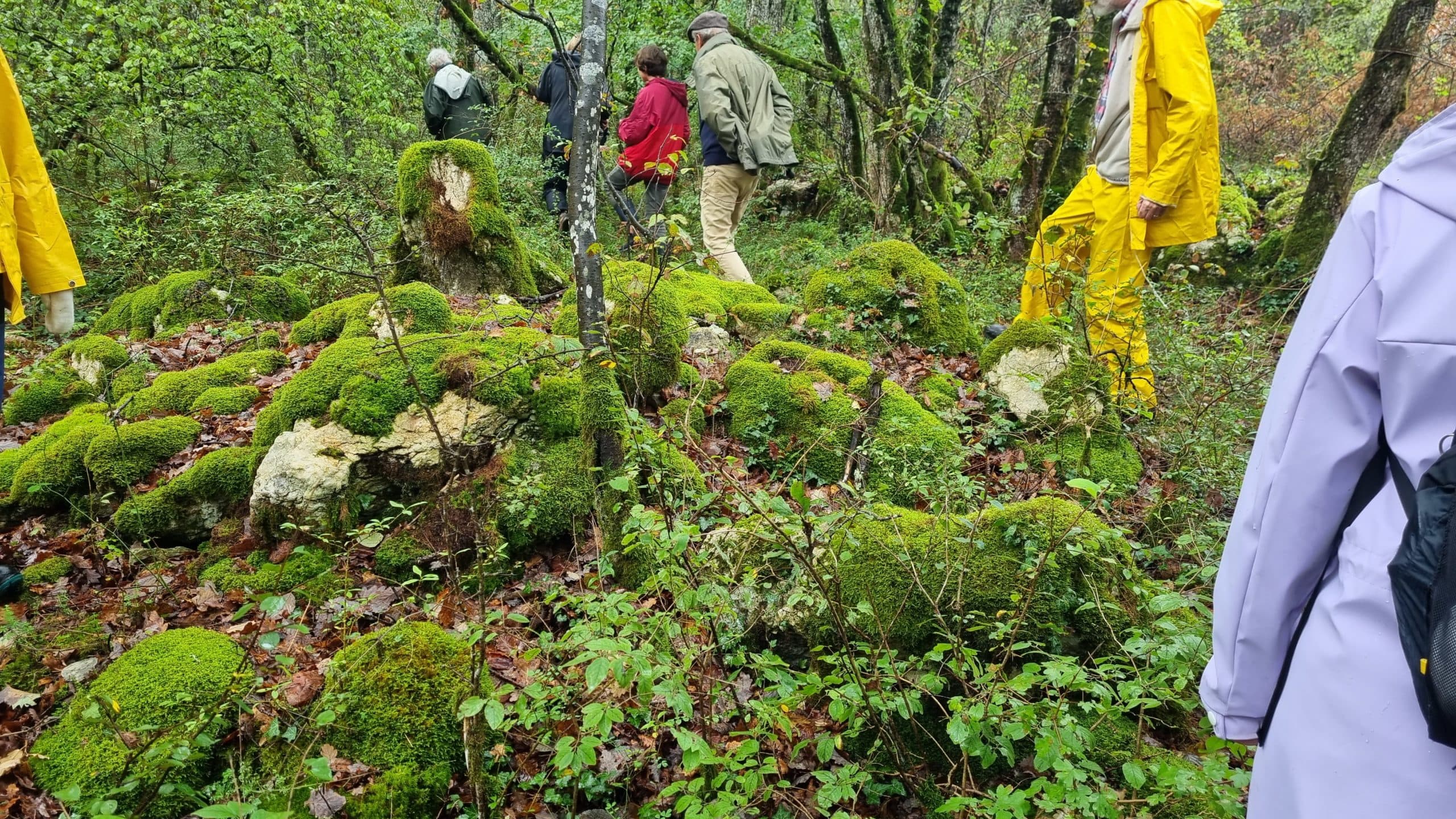 20220925_113319-scaled.jpg